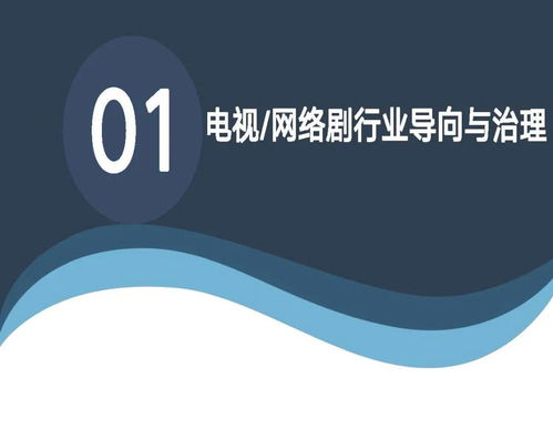 中國電視 網(wǎng)絡(luò)劇產(chǎn)業(yè)報(bào)告2020